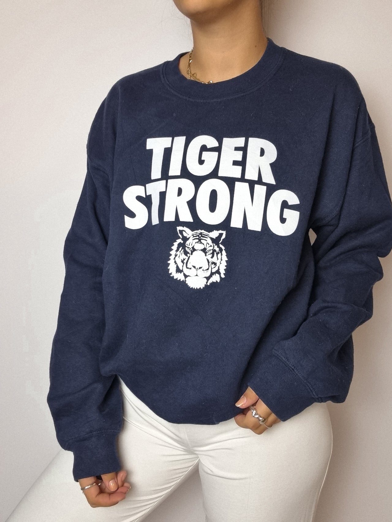 American vintage Tiger blue sweater M 