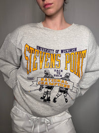 Sweat gris University of Wisconsin XXL vintage