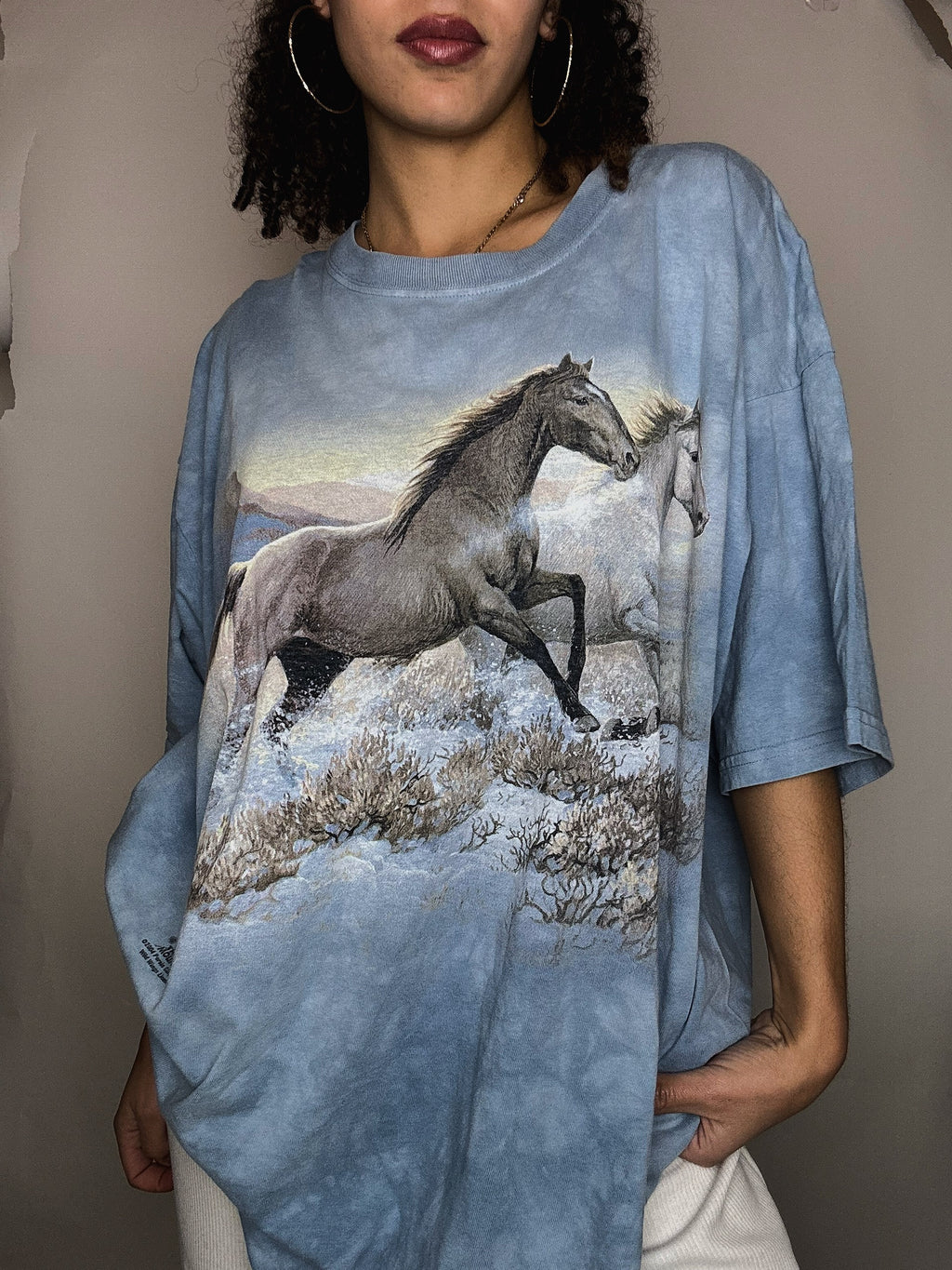 Verwaschenes blaues T-Shirt Pferde XXL Vintage