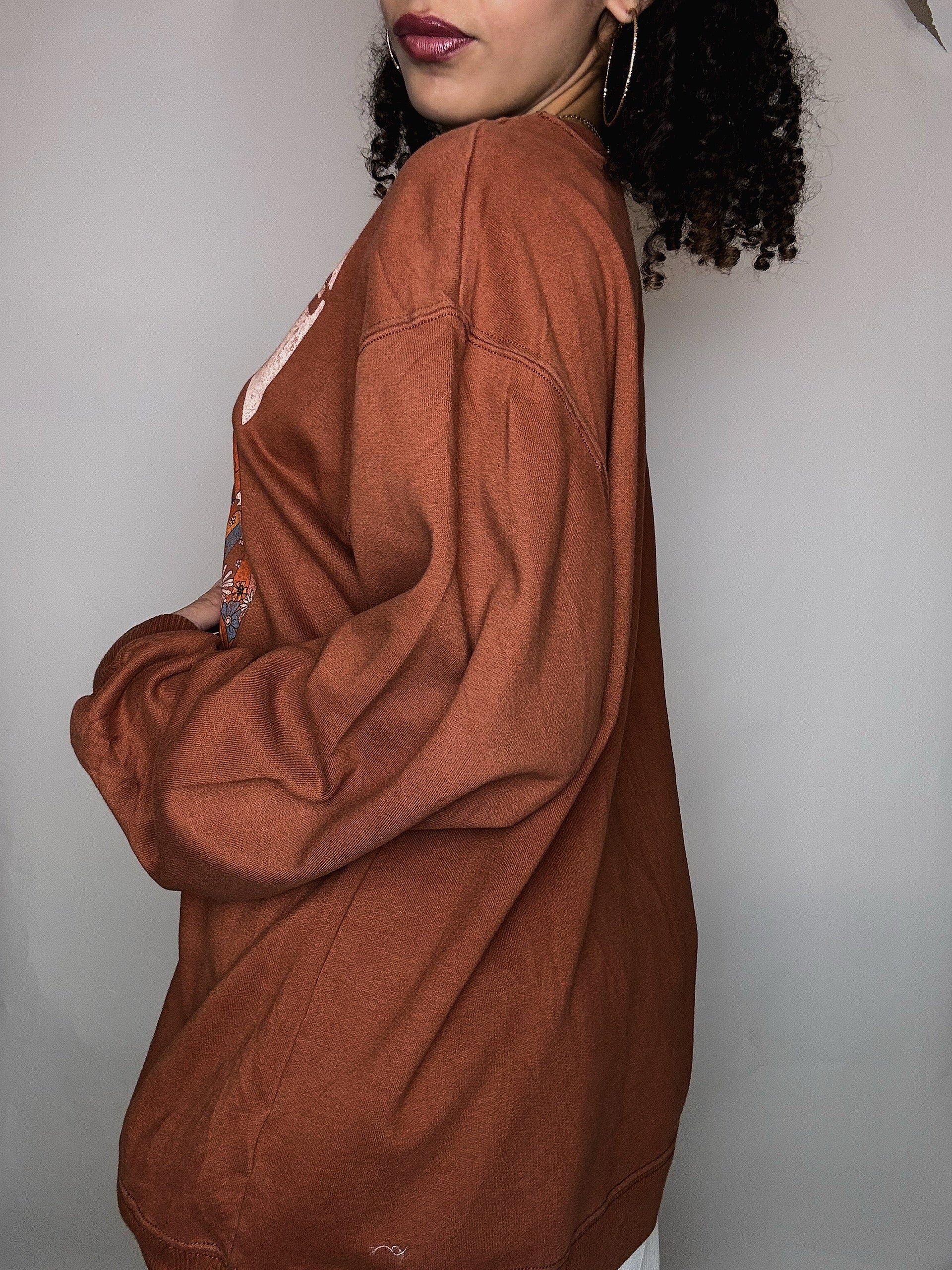 Sweat tabac Hollister M vintage