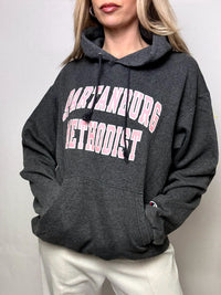 SPARTANBURG x CHAMPION L vintage gray hoodie