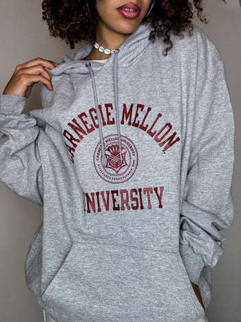 Sweat à capuche gris CHAMPION XL vintage