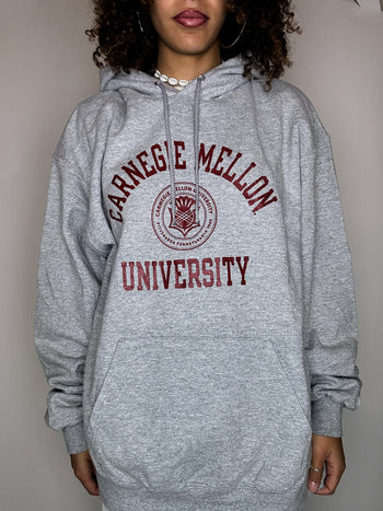 Sweat à capuche gris CHAMPION XL vintage