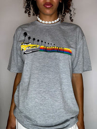 MIAMI M Vintage-T-Shirt in Grau