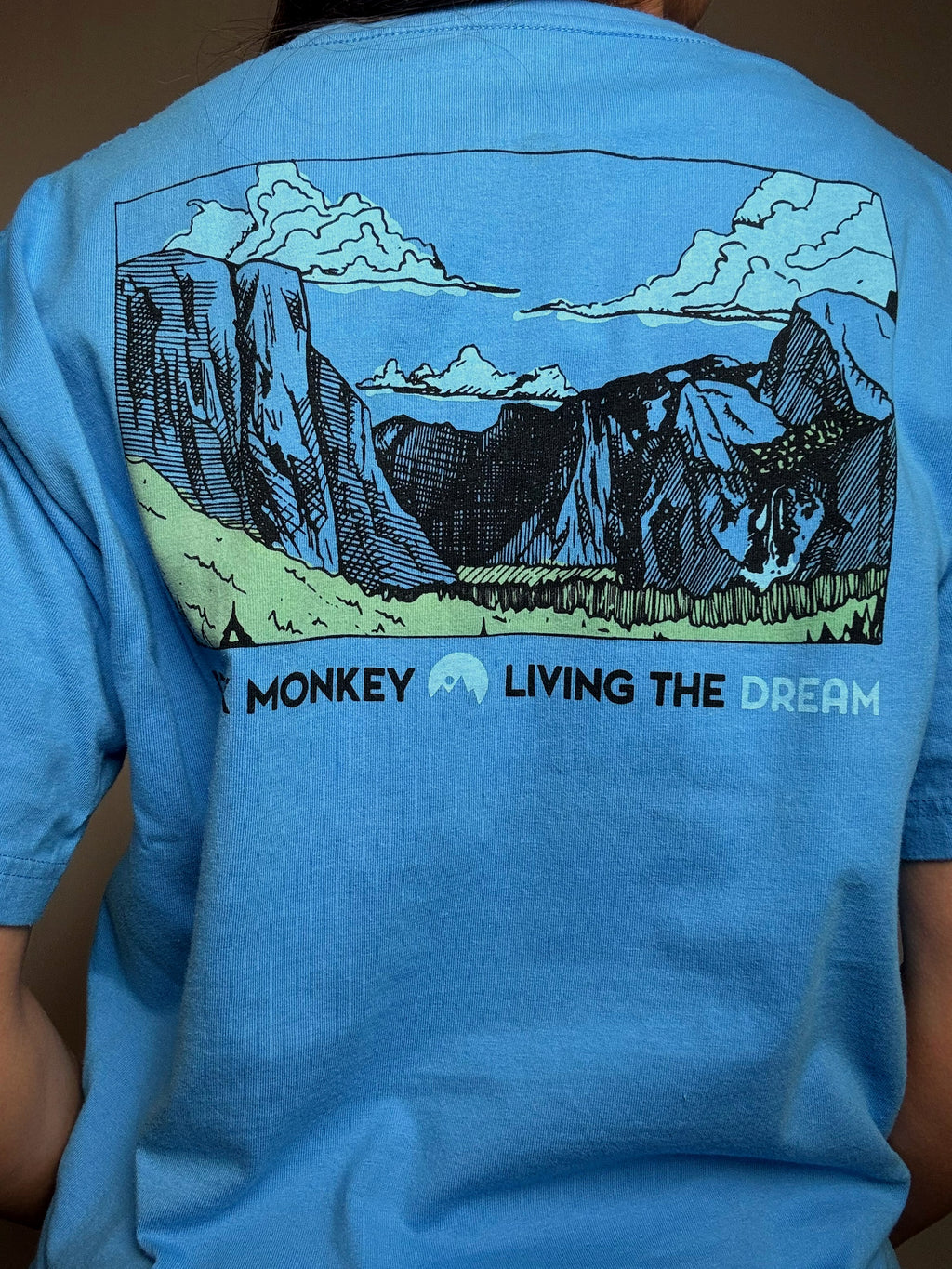 Blaues T-Shirt mit Rock-Monkey M Vintage