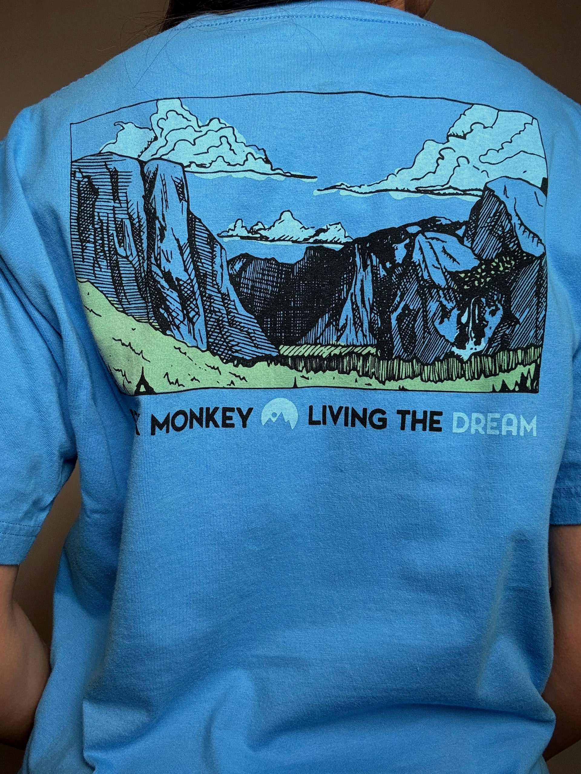 Blaues T-Shirt mit Rock-Monkey M Vintage