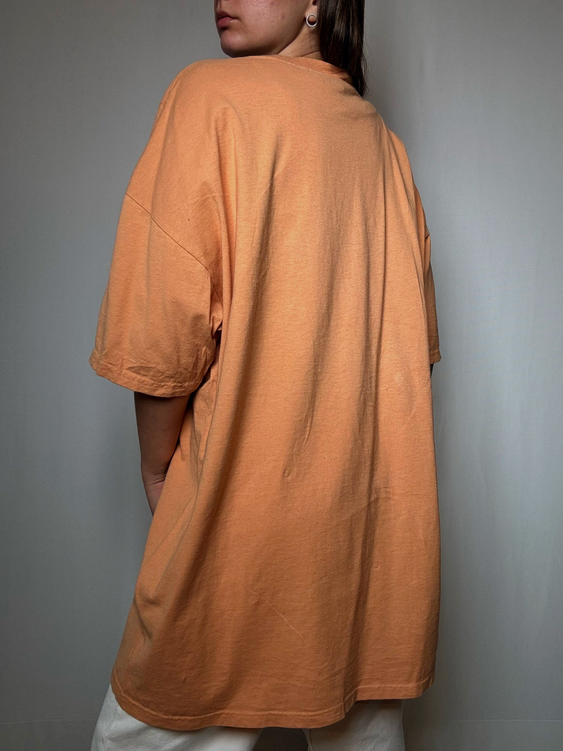 Tshirt Oiseau 3XL vintage