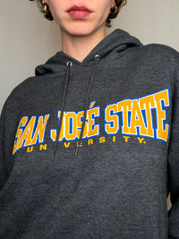 Hoodie campus gris Champion L vintage