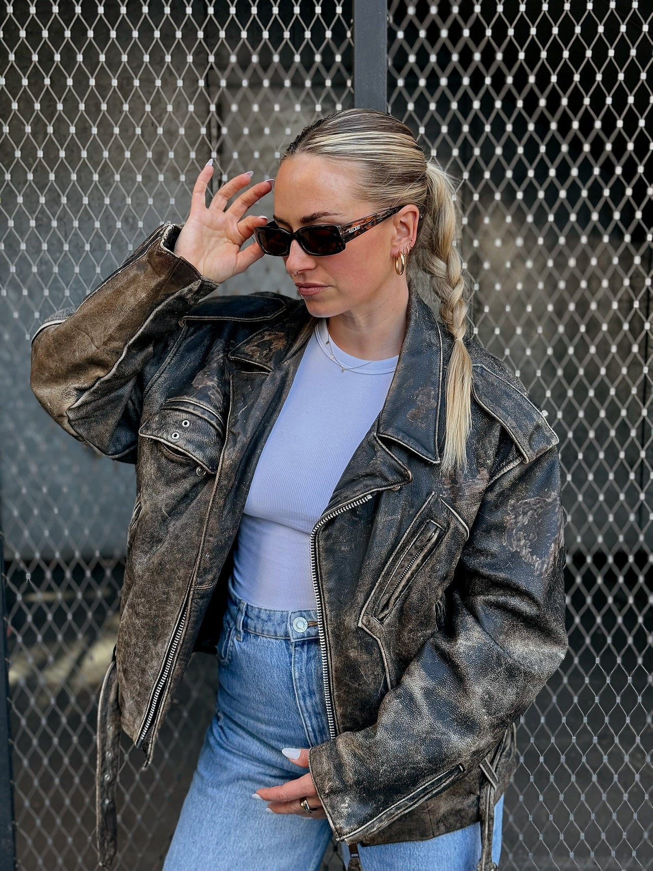 Phoenix - écaille de tortue