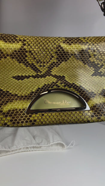 Sac Dior Malice Python Vert