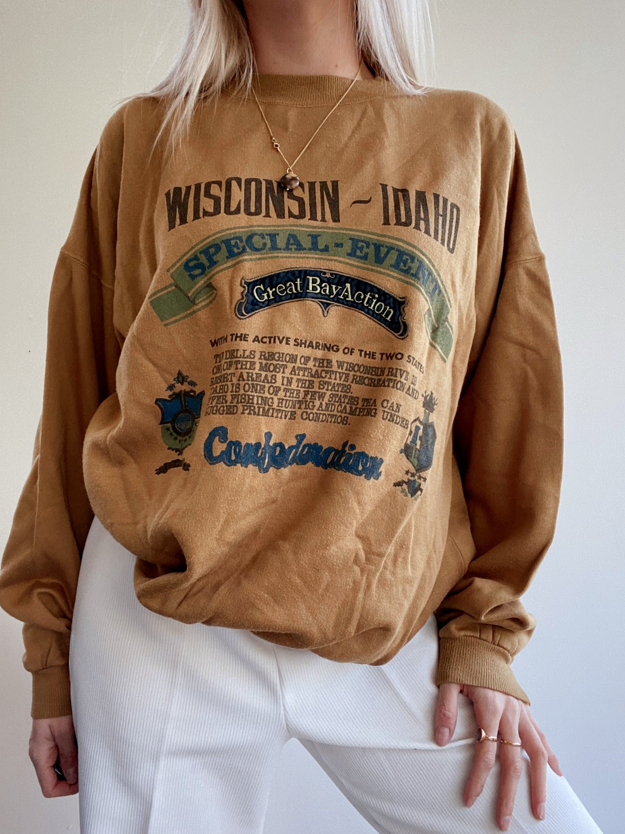 Pull USA vintage brun L/XL